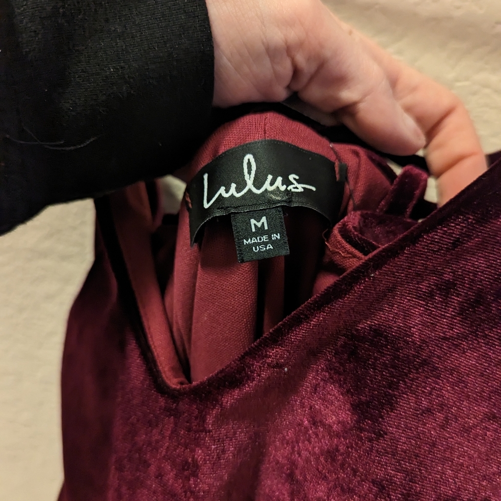 Nwt velvet dress - Picture 3 of 3
